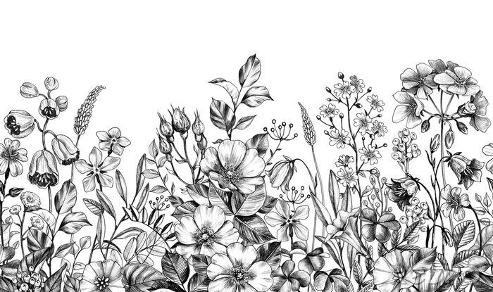 Canvas Zwart-witte botanische illustratie