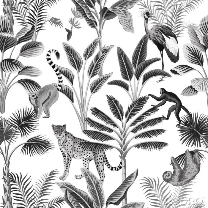 Canvas Zwart-witte dieren op tropische bomen