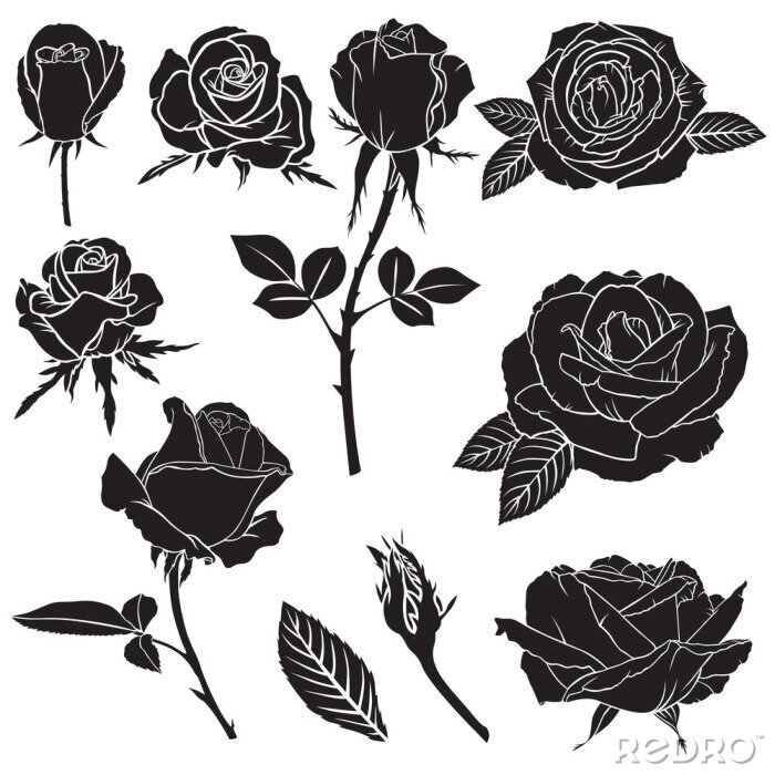 Canvas Zwarte rozen op een witte achtergrond