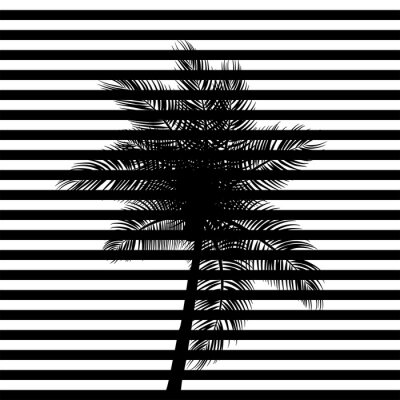 Zwarte strepen en een palmboom