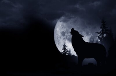 Canvas Zwarte wolf en de maan