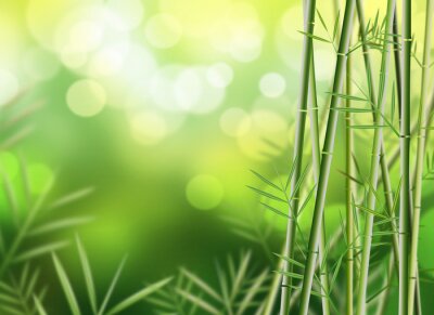 Fotobehang 3D bamboe met bladeren