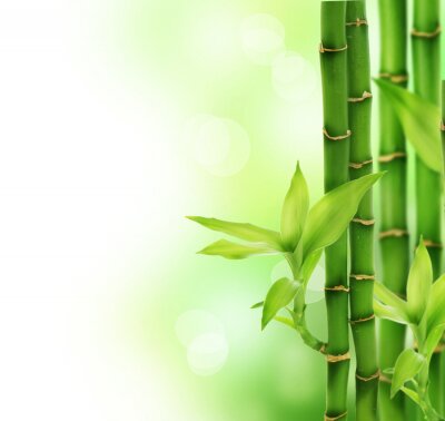 Fotobehang 3D bamboe op een abstracte achtergrond