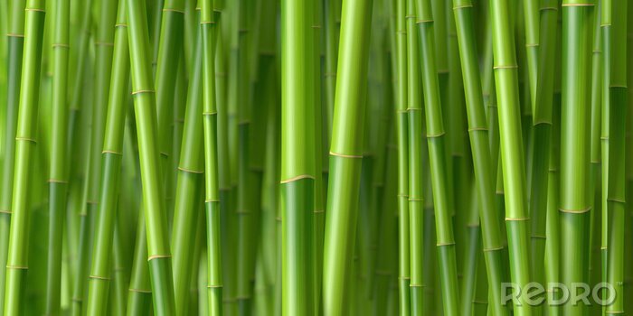 Fotobehang 3D bamboe stengels