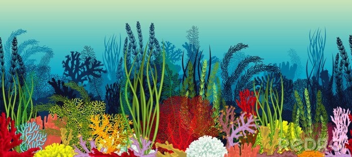 Fotobehang 3D koraalrif grafisch weergegeven