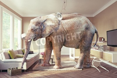 Fotobehang 3D olifant in de kamer