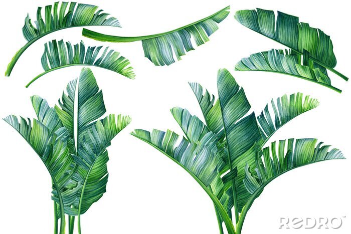 Fotobehang 3D palmbladeren