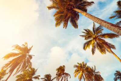 Fotobehang 3D palmbomen op hemelachtergrond