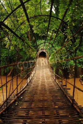 Fotobehang 3D touwbrug in de jungle