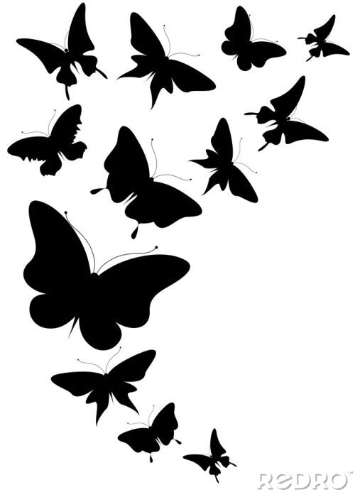Fotobehang 3D vlinders in zwart en wit