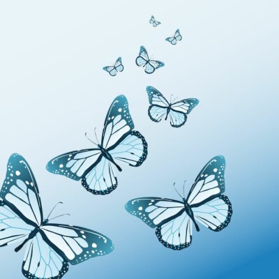 Fotobehang 3D vlinders op blauwe achtergrond
