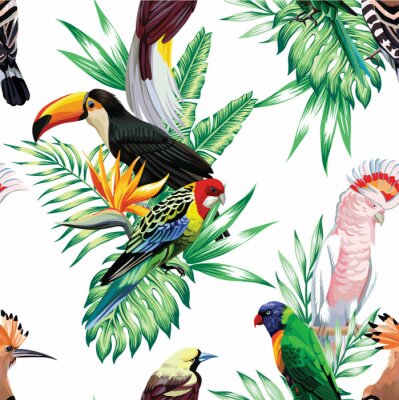 3D vogels en Afrikaanse dieren