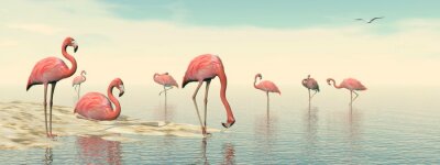 Fotobehang 3D vogels in water
