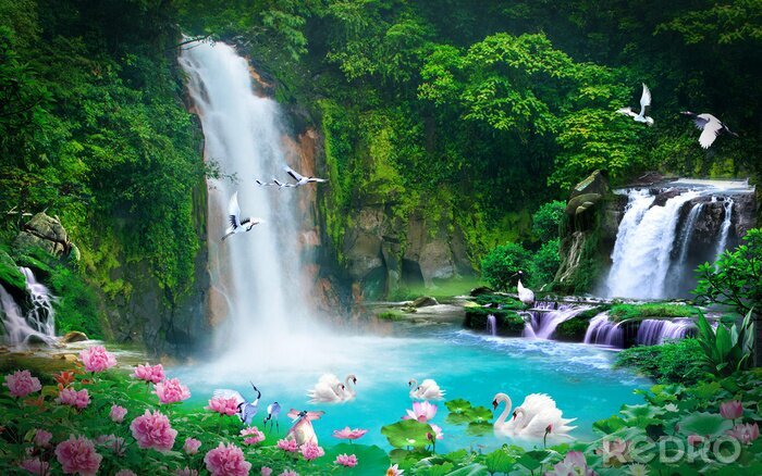 Fotobehang 3D waterval en zwanen