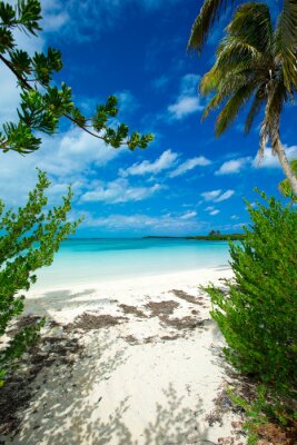 Fotobehang 3D zee met palmbomen