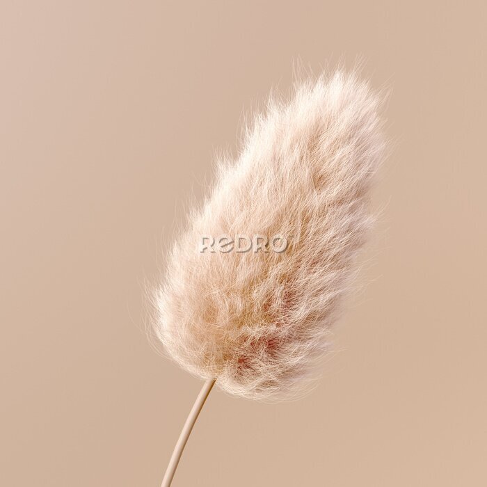 Fotobehang Abstract fluffy flower beige pastel color boho background 3d rendering. Fur design element isolated