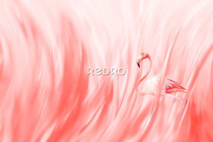 Fotobehang Abstract ontwerp van flamingo op koraalkleurige achtergrond