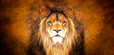 Fotobehang Abstract portret van een Afrikaanse leeuw