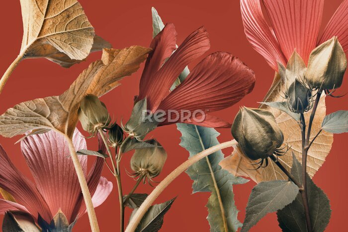 Fotobehang Abstracte compositie met rode bloemen