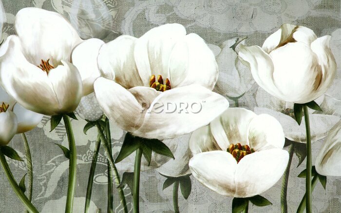 Fotobehang Abstracte witte tulpen