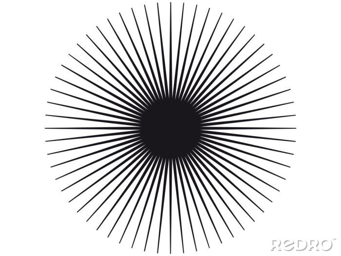 Fotobehang Abstracte zwart-witte paardenbloempjes