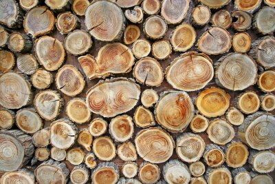 Fotobehang Achtergrond van hout