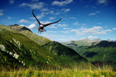 Fotobehang Adelaar op de achtergrond van het berglandschap
