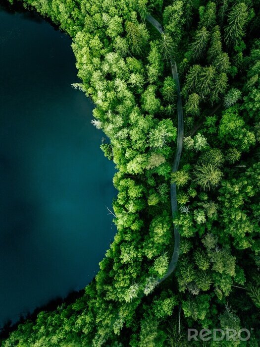 Fotobehang Aerial top view of country road in green summer forest and blue lake. Rural landscape in Finland.