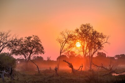 Afrika Sunset