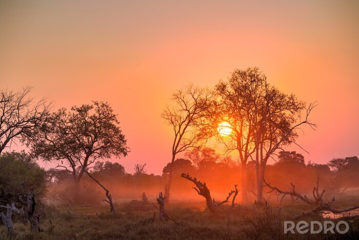Fotobehang Afrika Sunset
