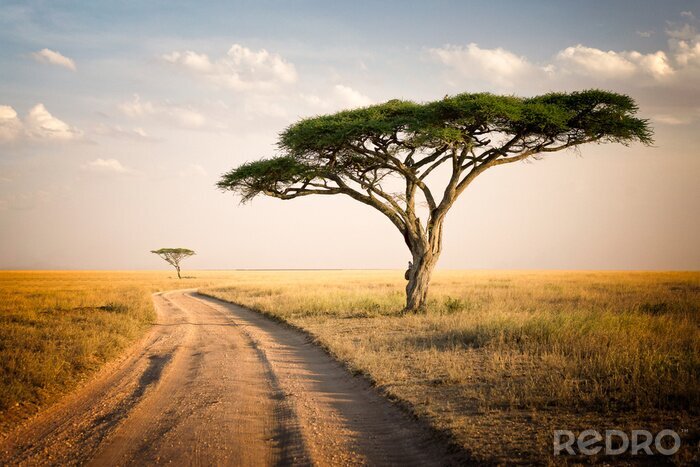Fotobehang Afrikaans landschap - Tanzania