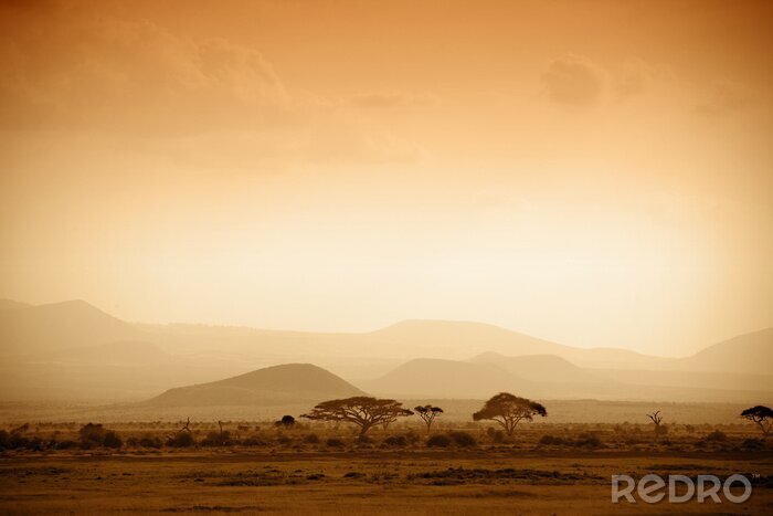 Fotobehang Afrikaanse savanne bij zonsopgang