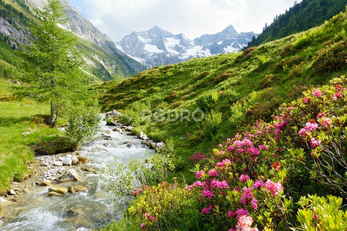 Fotobehang Alpenlandschap met een beek