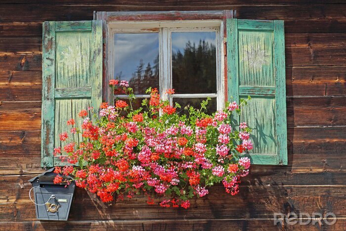 Fotobehang altes Holzfenster mit Blumenkasten