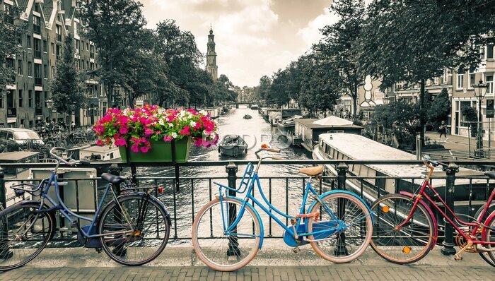 Fotobehang Amsterdam - Black and white photo with colored bicycles