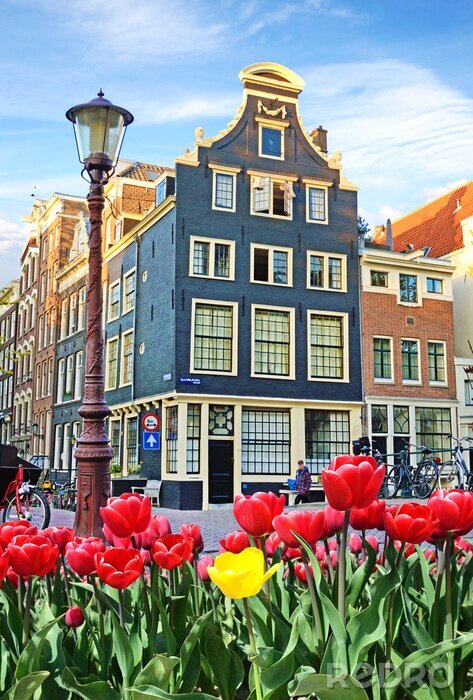 Fotobehang Amsterdam rote Tulpen und Fahrräder auf dem Platz