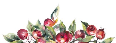 Fotobehang Aquarel appels in vintage stijl op witte achtergrond