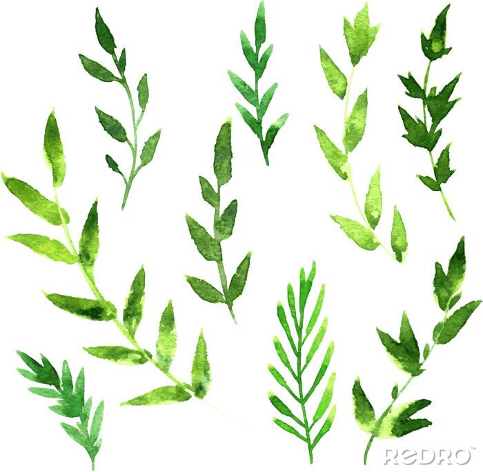 Fotobehang Aquarel bladeren van een boom