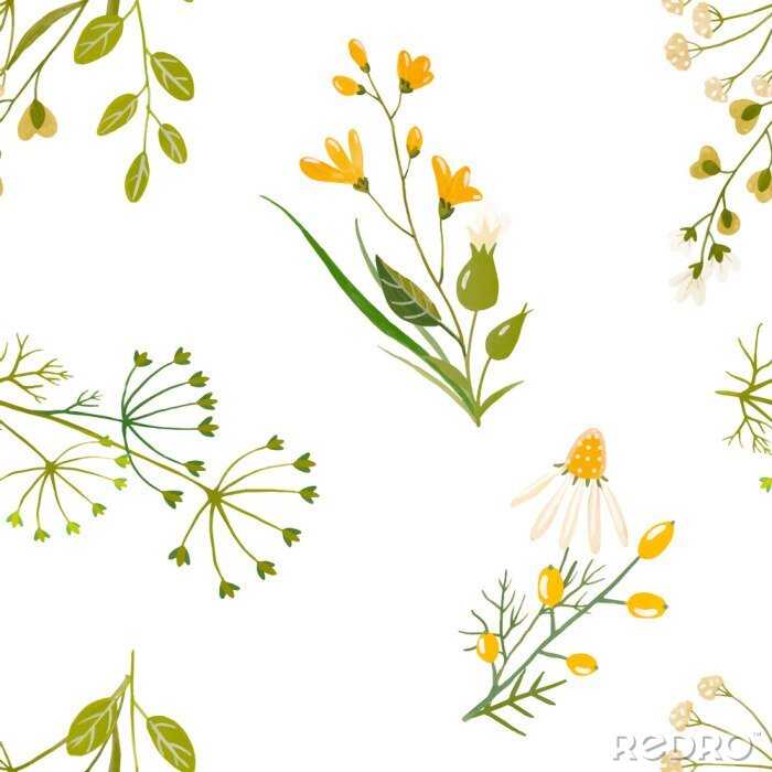 Fotobehang Aquarel bloemen vector patroon