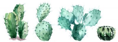 Fotobehang Aquarel cactussen