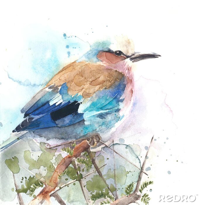 Fotobehang Aquarel delicate vogel