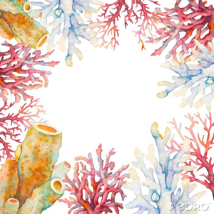 Fotobehang Aquarel koraalrif in een kader