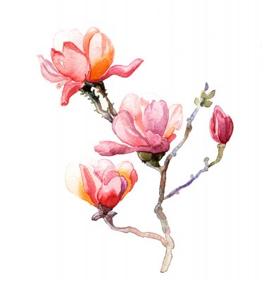 Fotobehang Aquarel magnolia's
