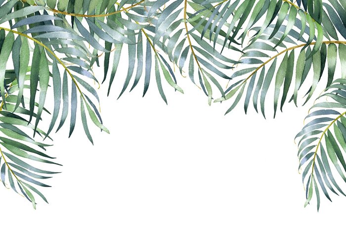 Fotobehang Aquarel palmbladeren