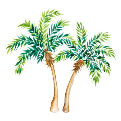 Fotobehang Aquarel palmbomen