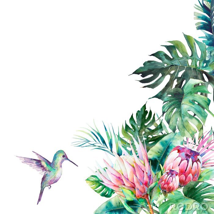 Fotobehang Aquarel planten en een vogel