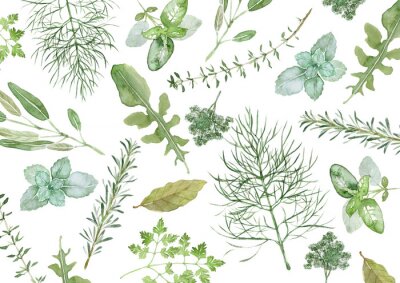 Fotobehang Aquarel planten uit het veld