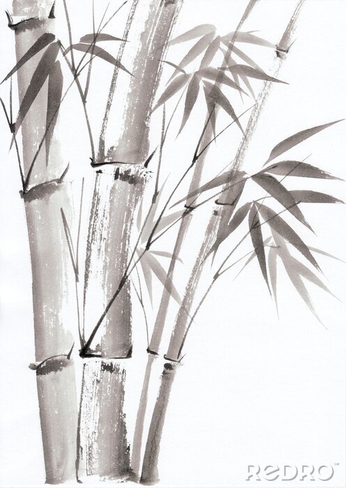 Fotobehang Aquarel schilderij van bamboe