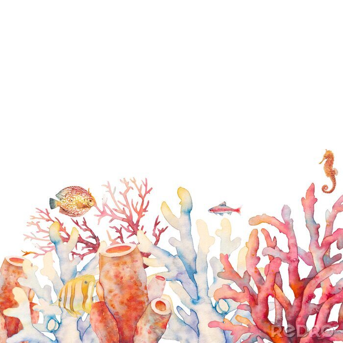 Fotobehang Aquarel van rood koraalrif
