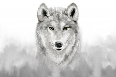 Fotobehang Aquarel wolf in grijstinten